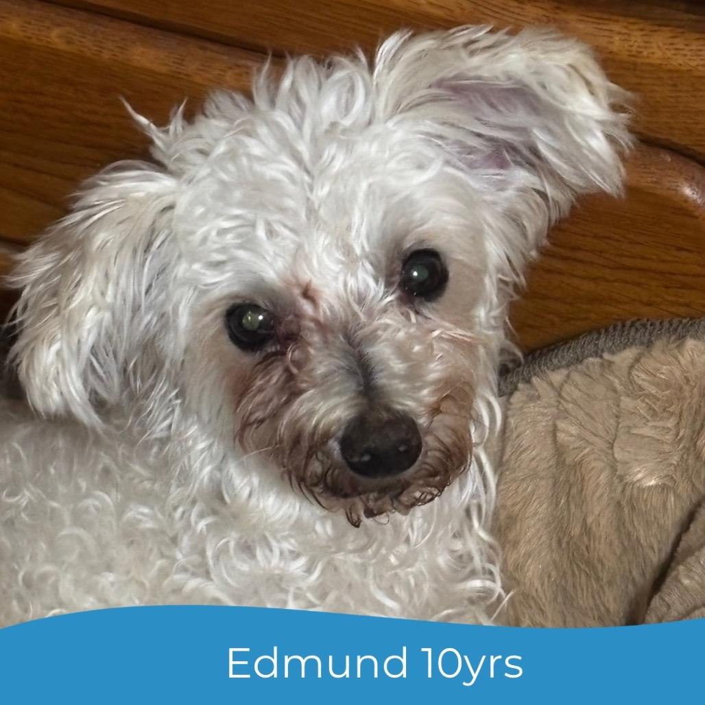 Edmund