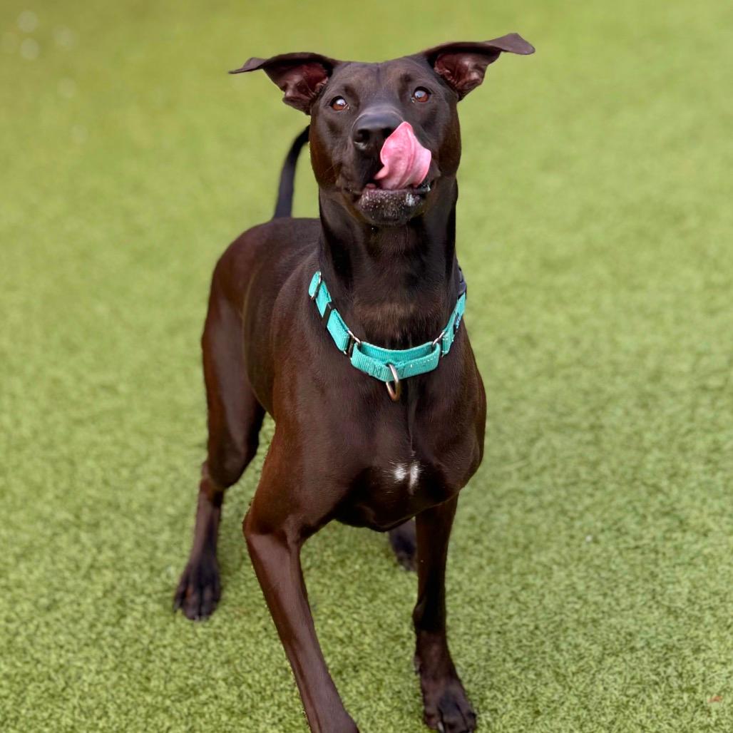 Max
