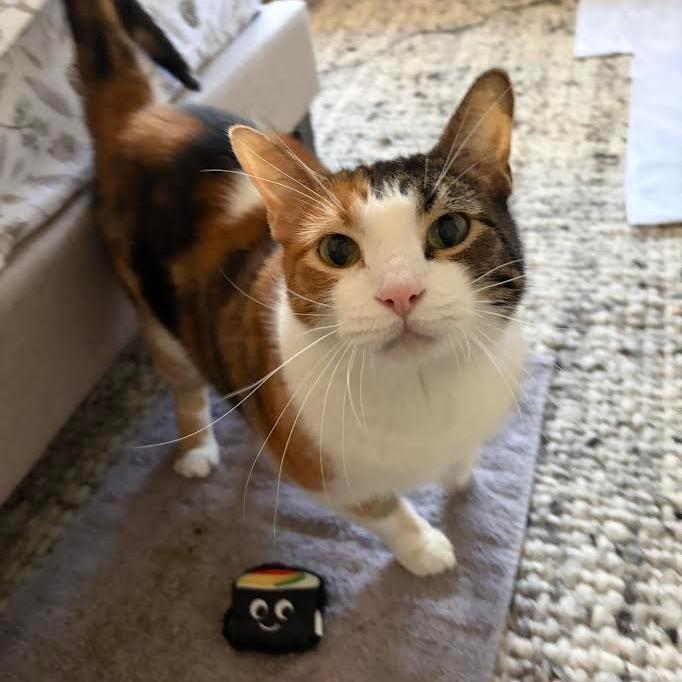 Coco