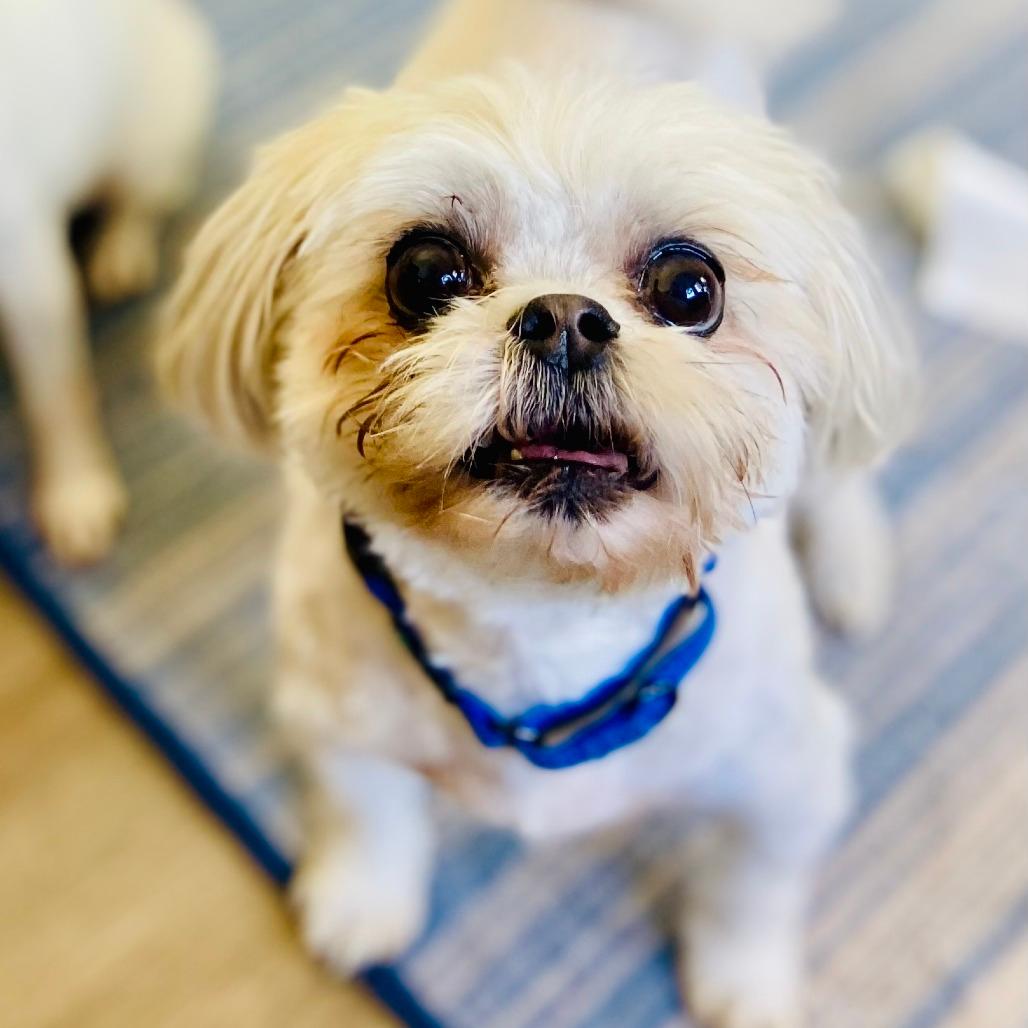 Darla