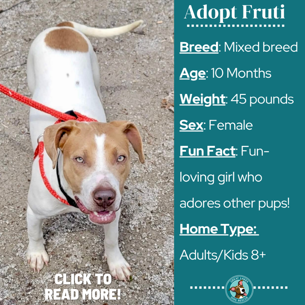Fruti