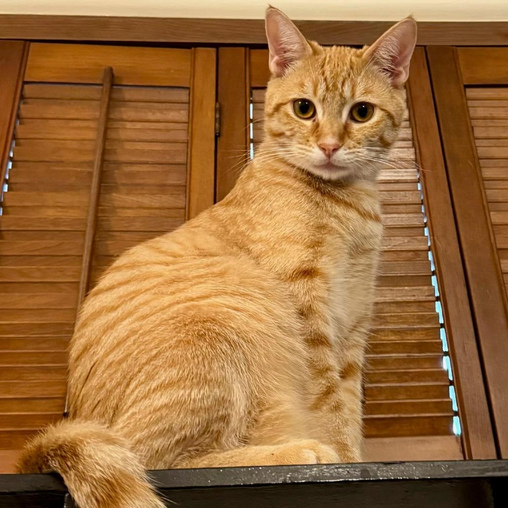 Milo