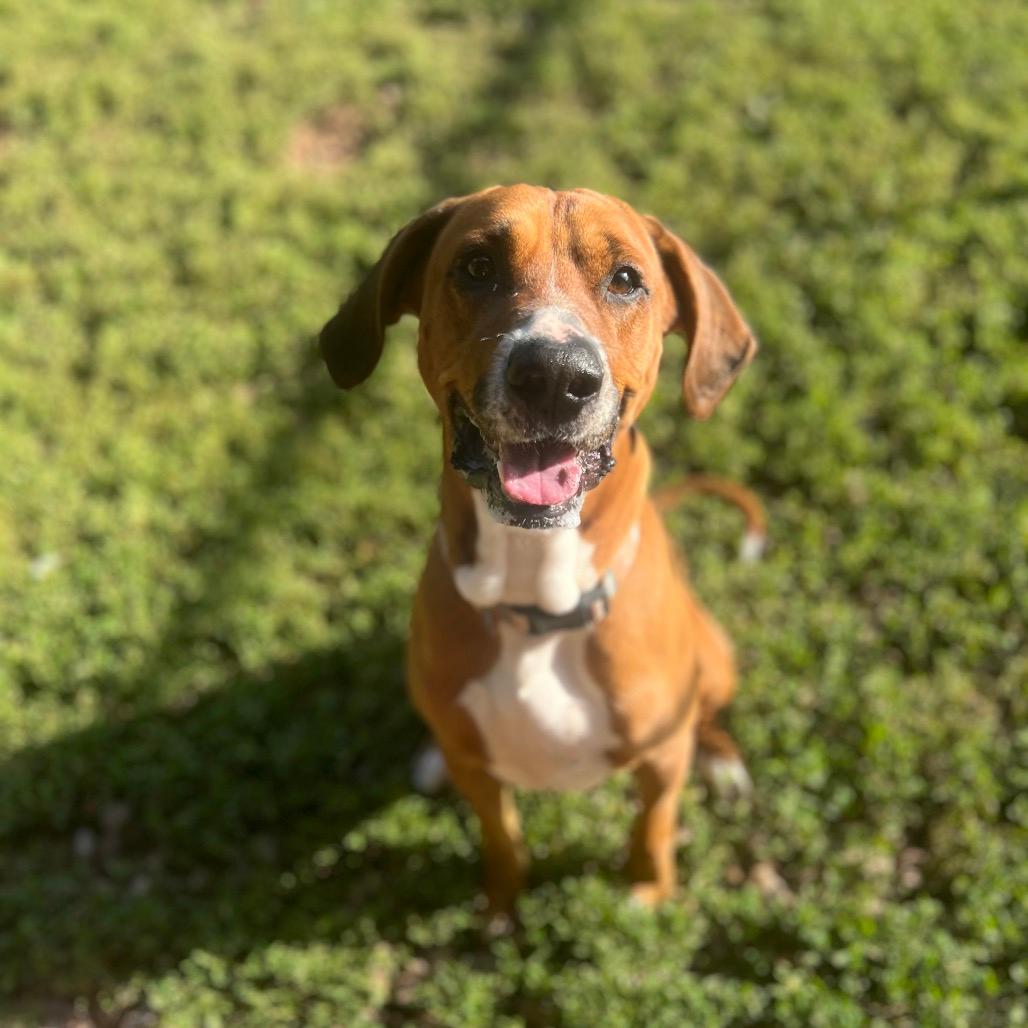 Copper