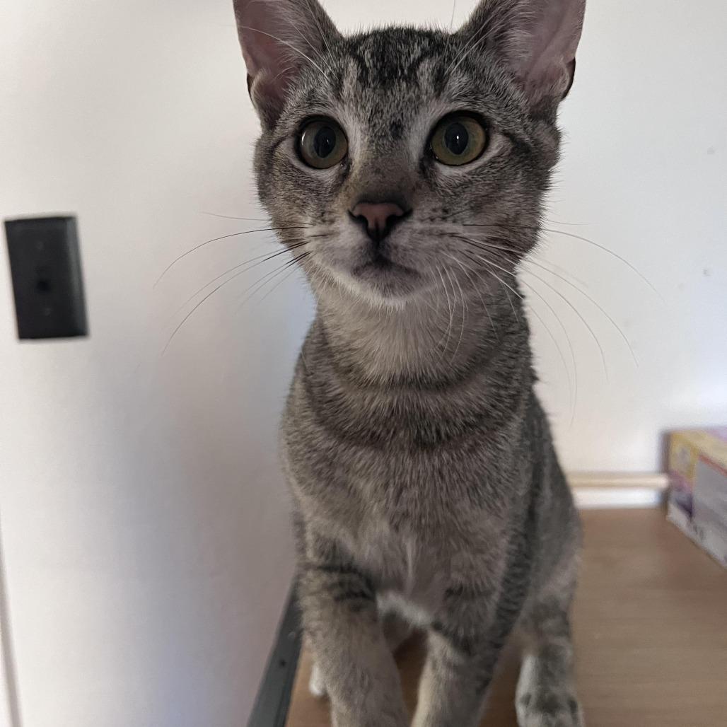 Miles, brother of Marty