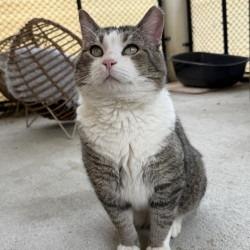 Whiley