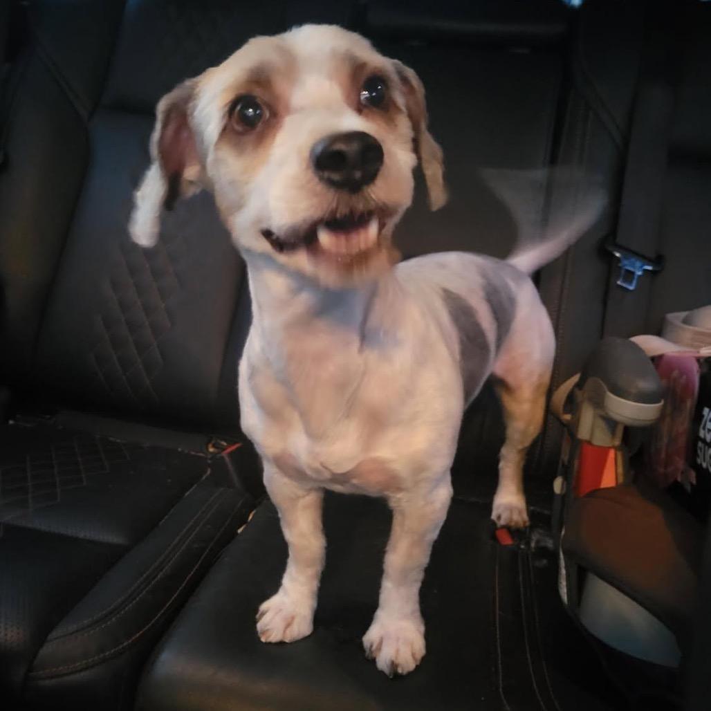 Max