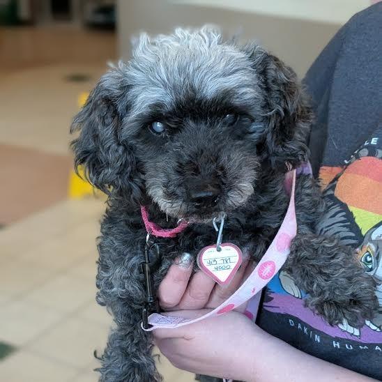 Fatima $199-In foster-See my video