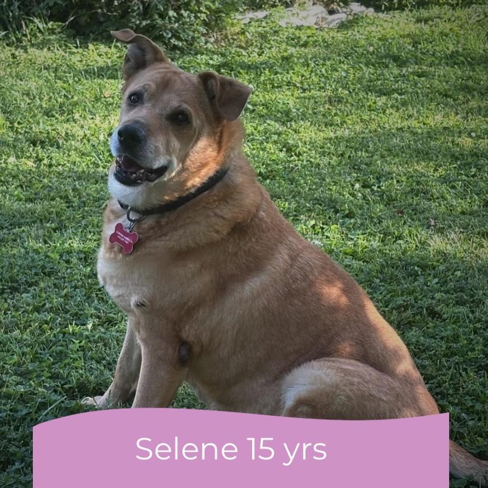 Selene