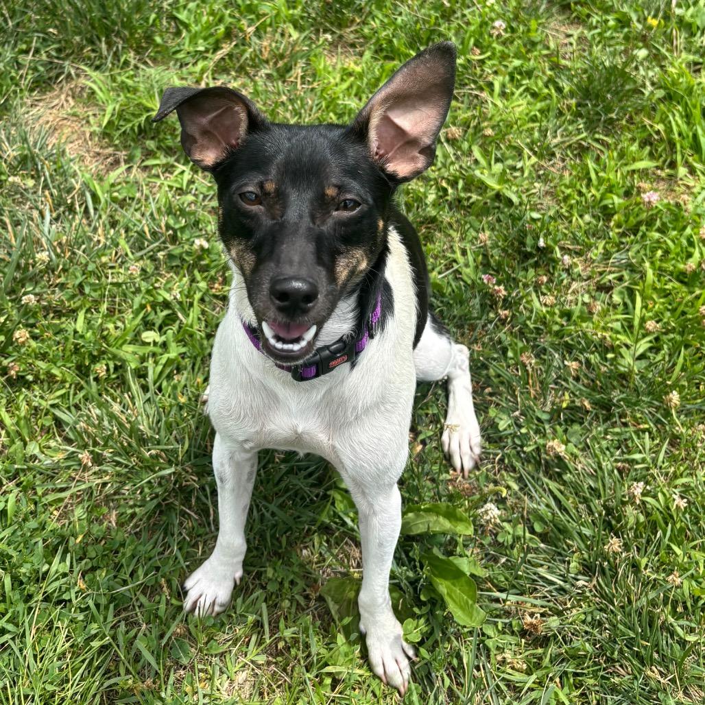 Oakley