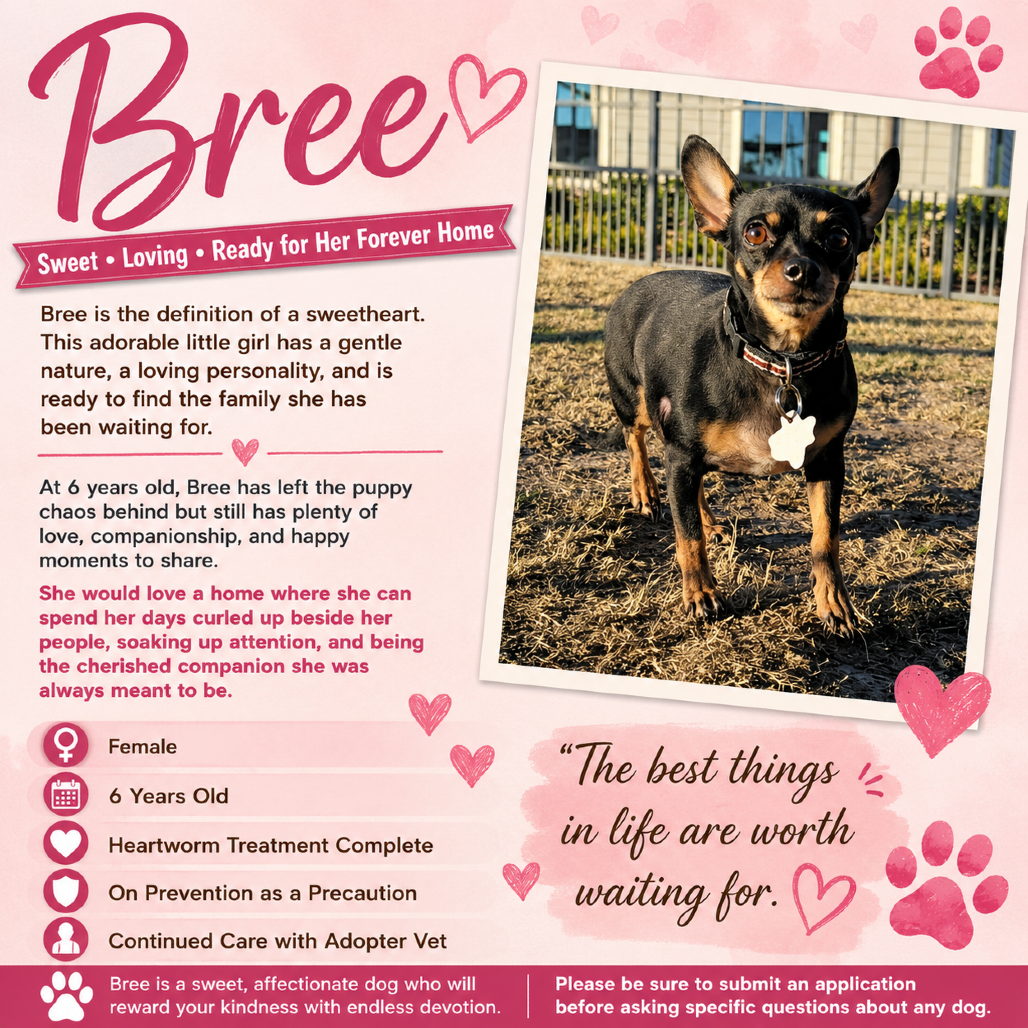 Bree