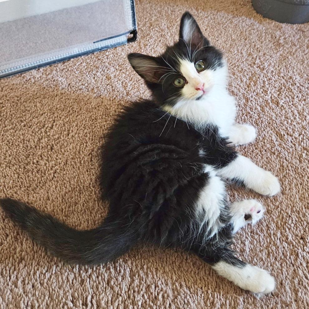 Marble