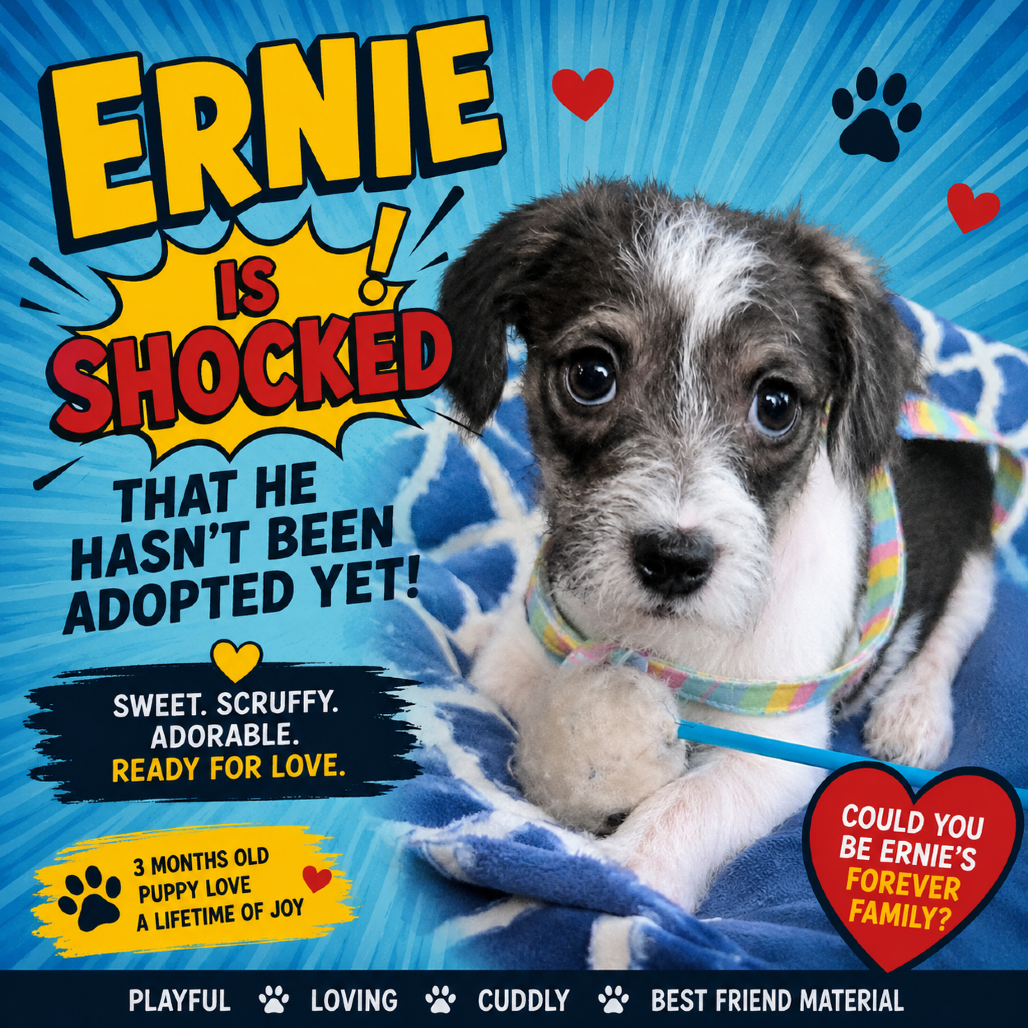 Ernie