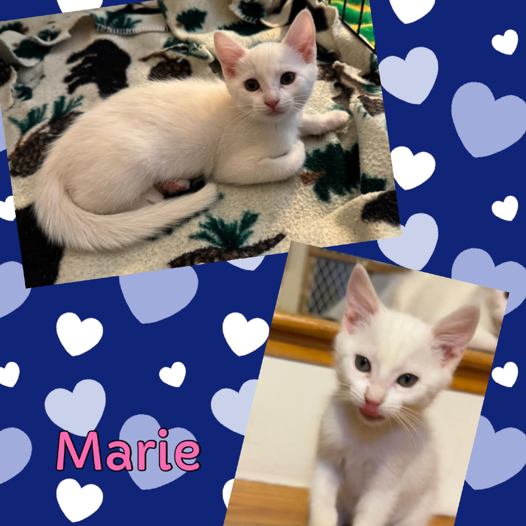 Marie
