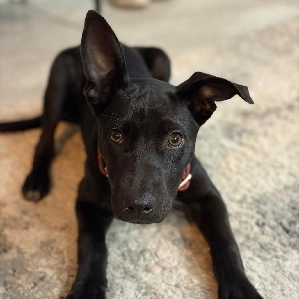 Ruby