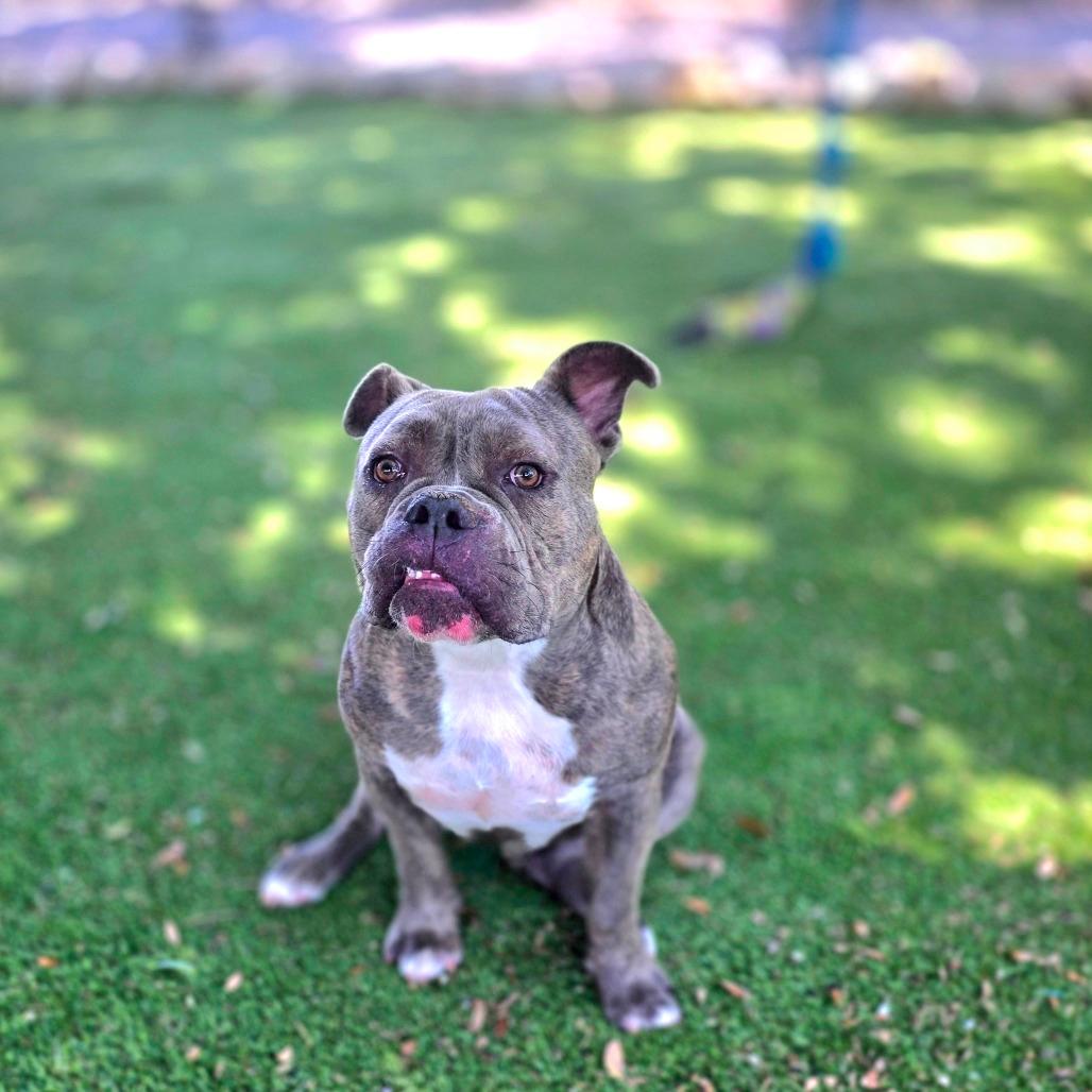 Reggie
