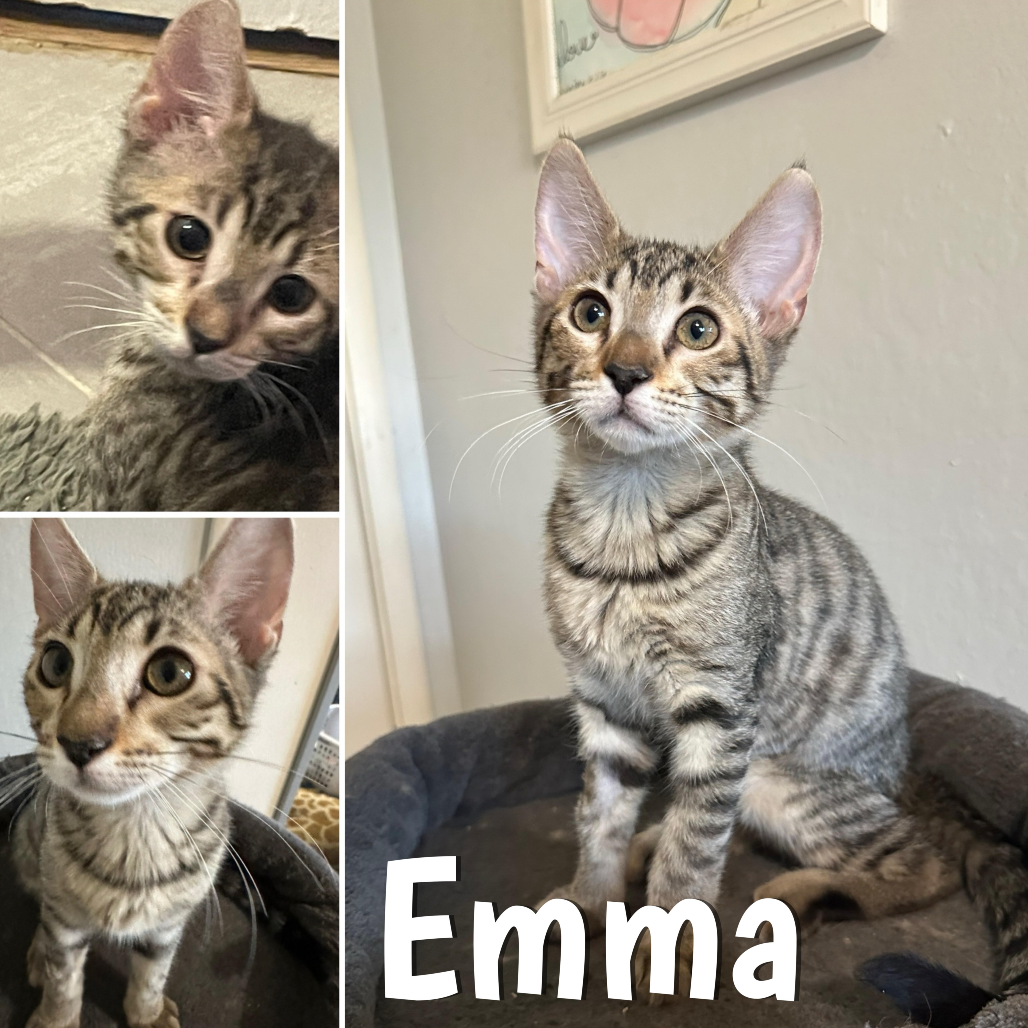 Emma