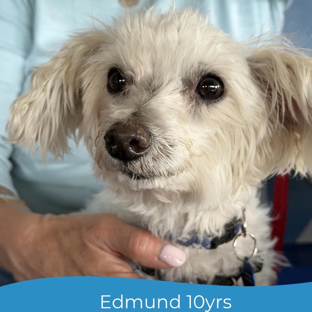 Edmund