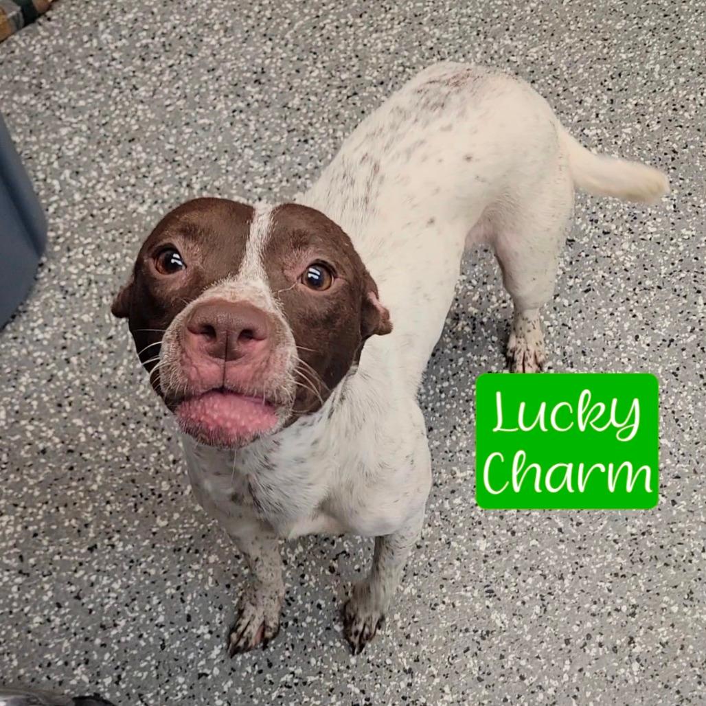 Lucky Charm