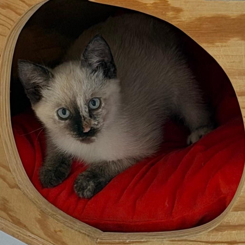 Winnie