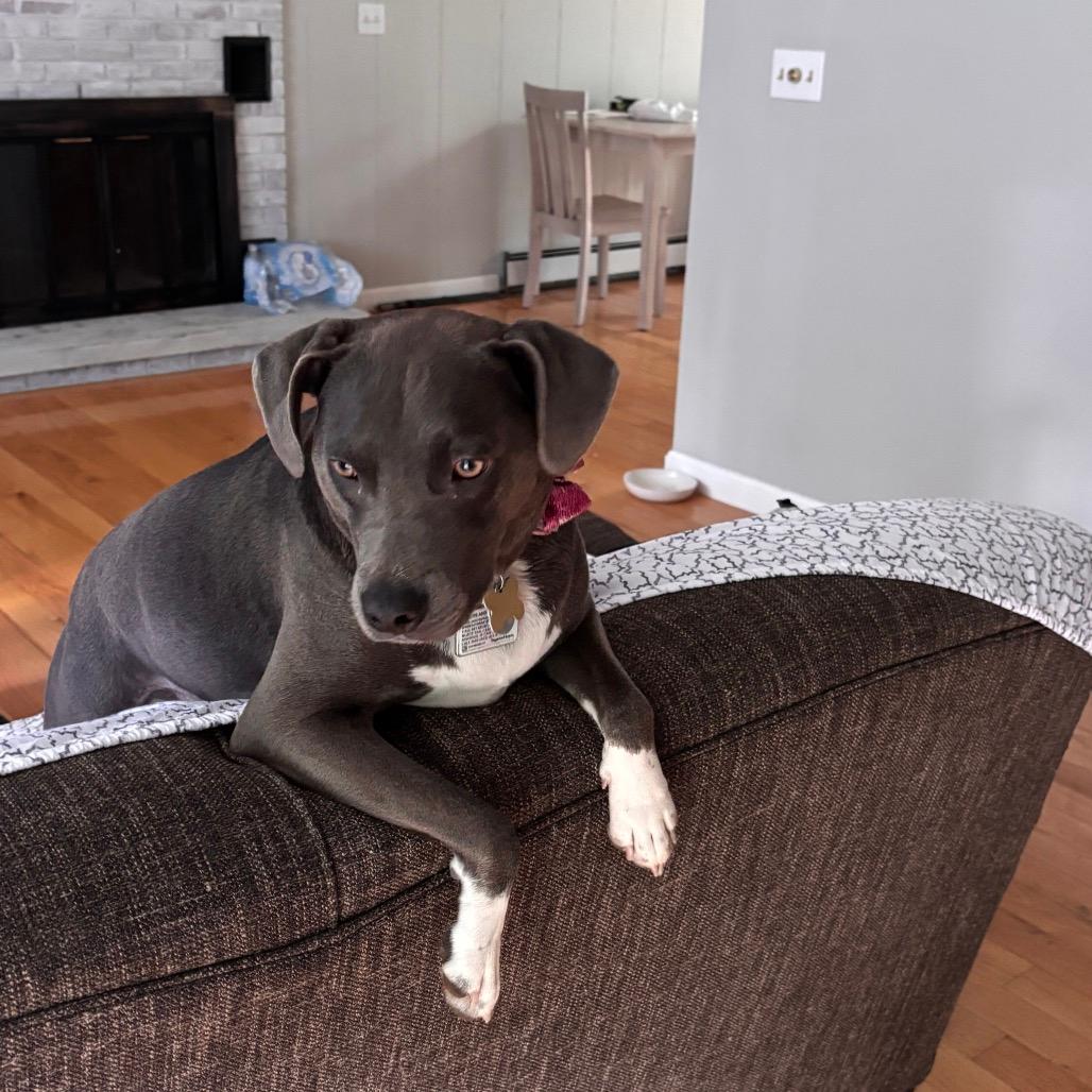 Zsa Zsa (Xena)