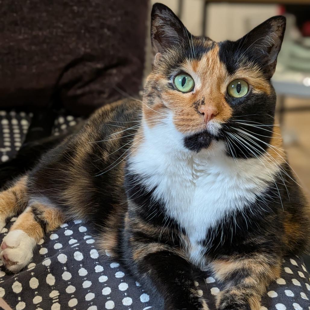 Pearl-In Foster