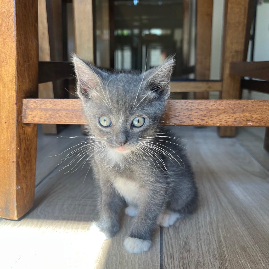 Jack