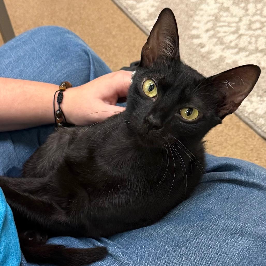 Kiki