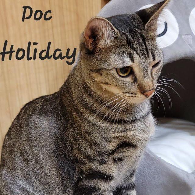 Doc Holiday