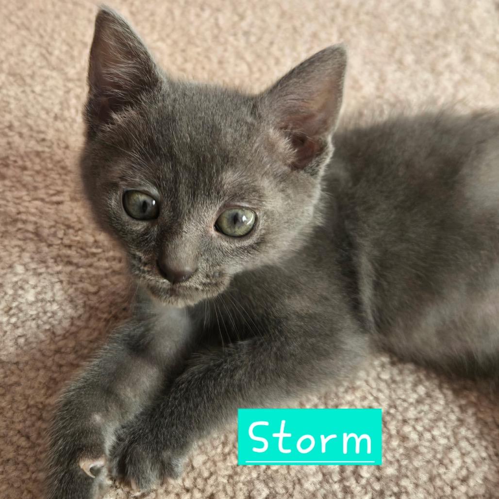 Storm