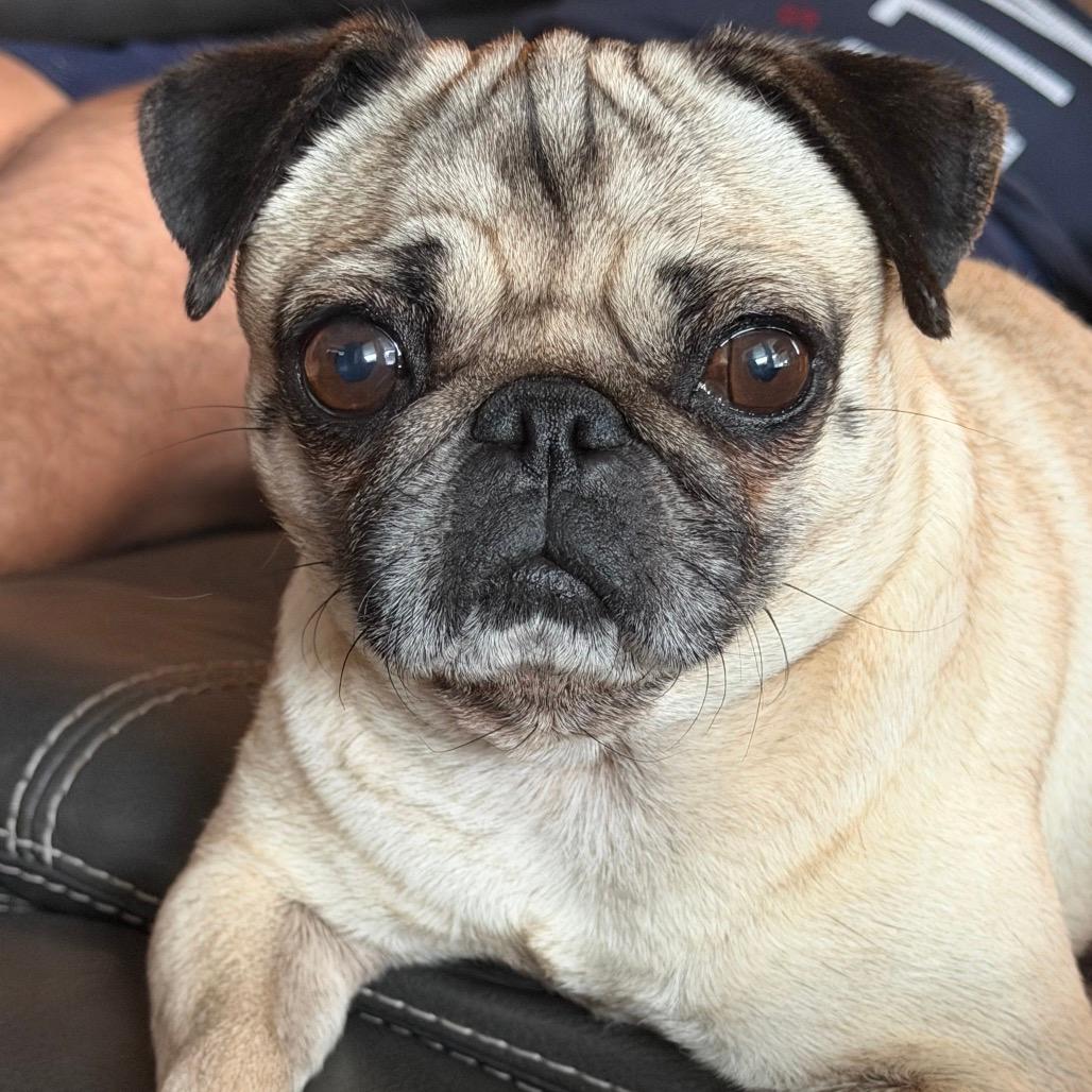 Ella