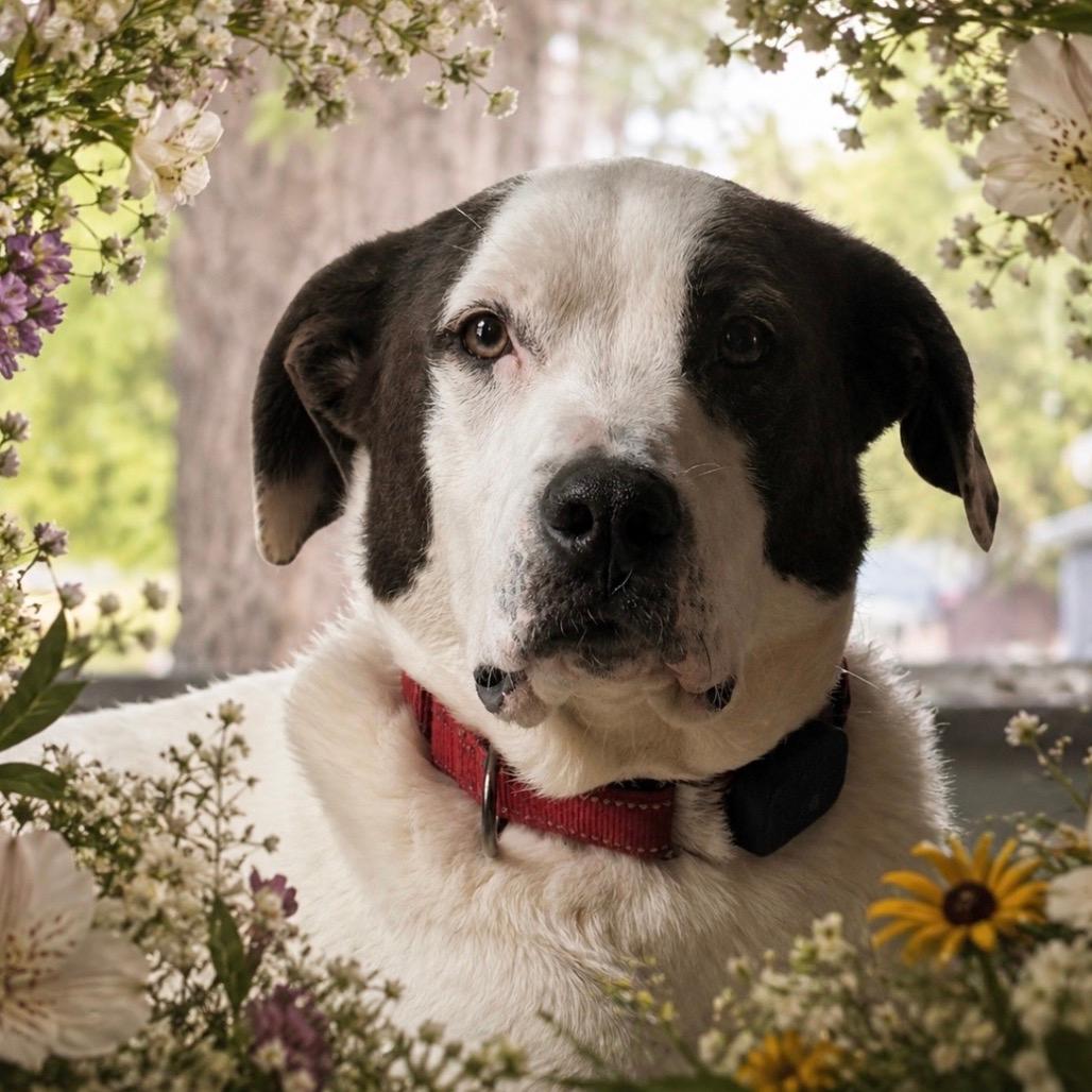 Stacy (bonded to Ruthie)