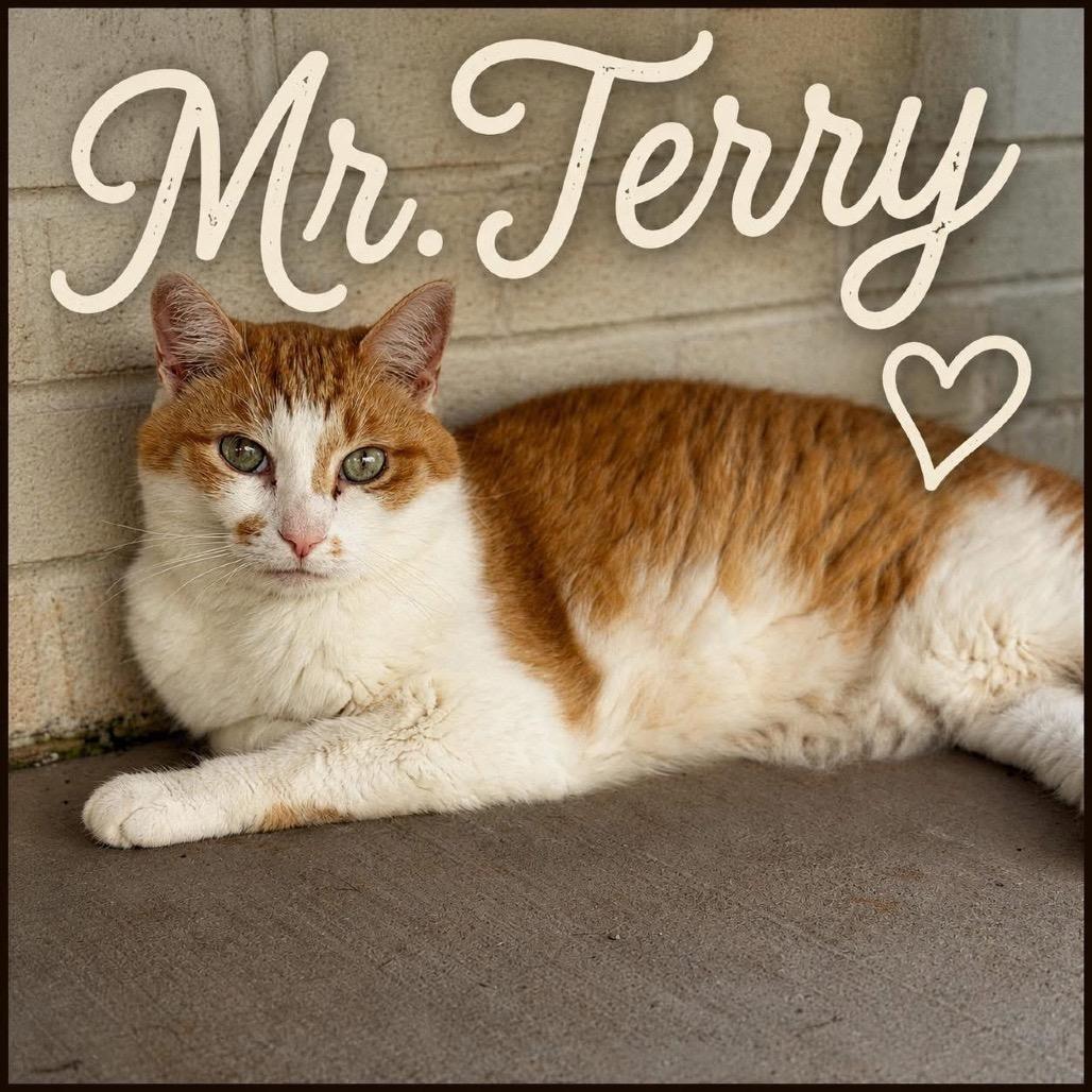 Mr. Terry