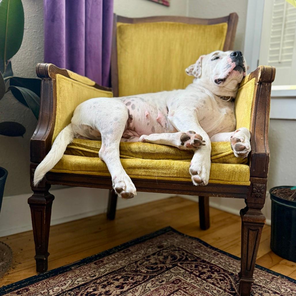 Ruthie (bonded to Stacy)