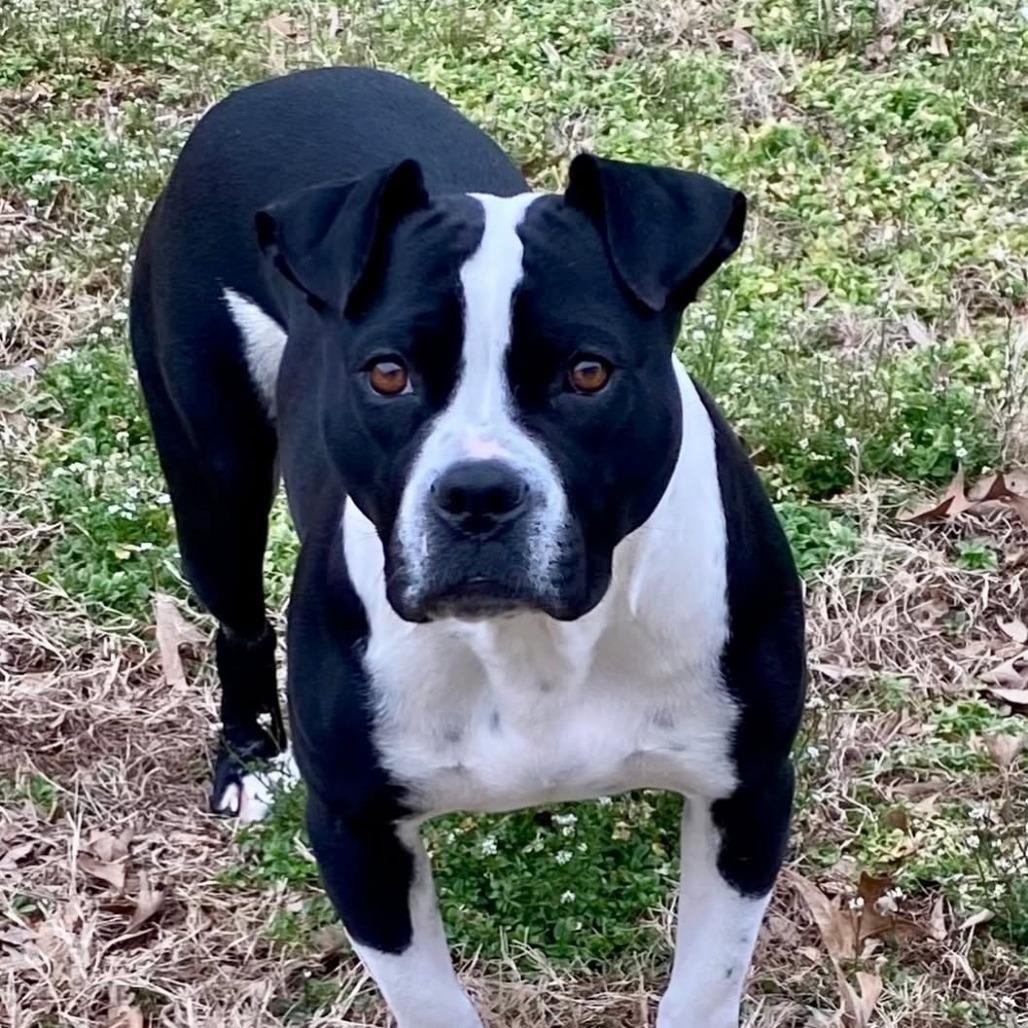 Meko