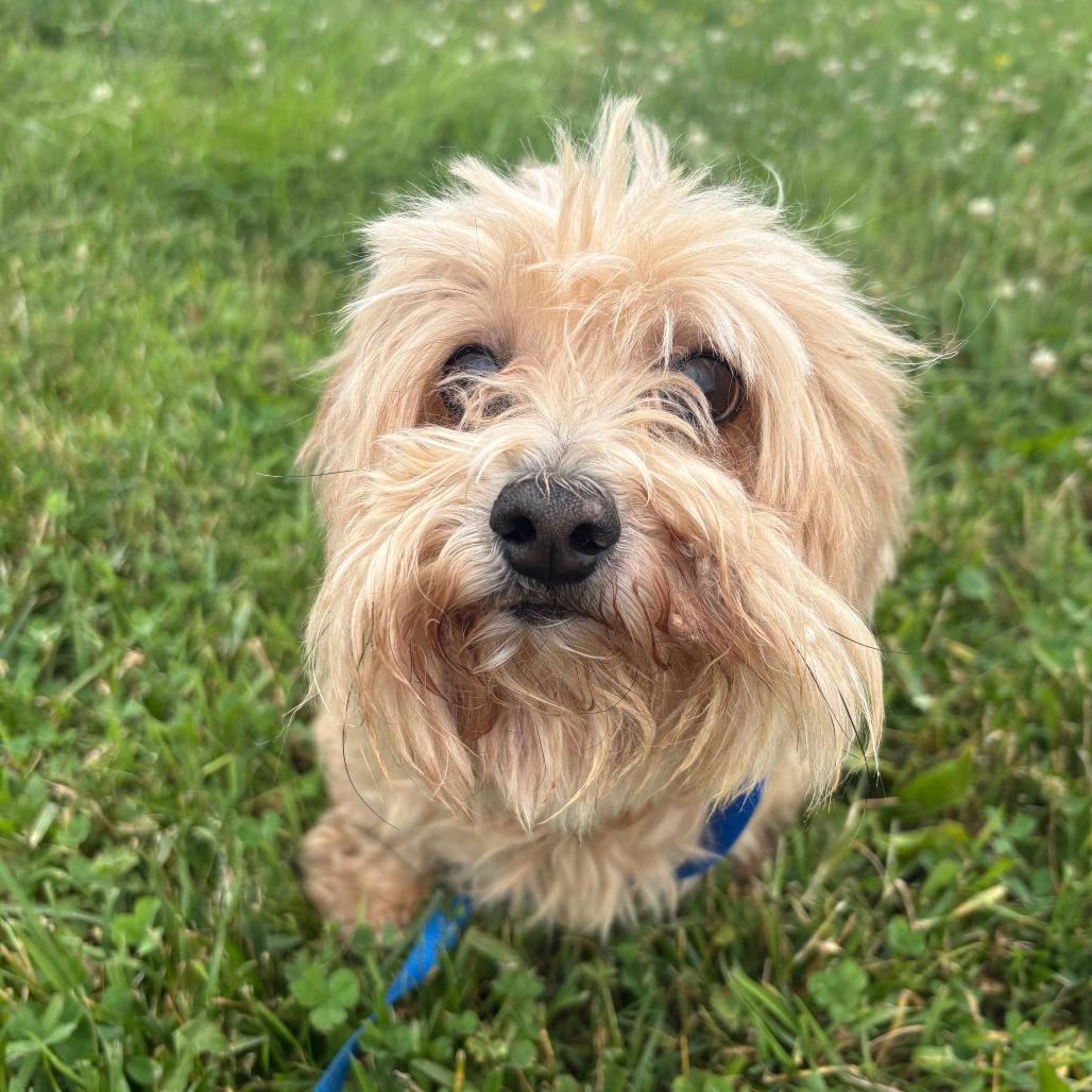 Max(bonded to Angel)