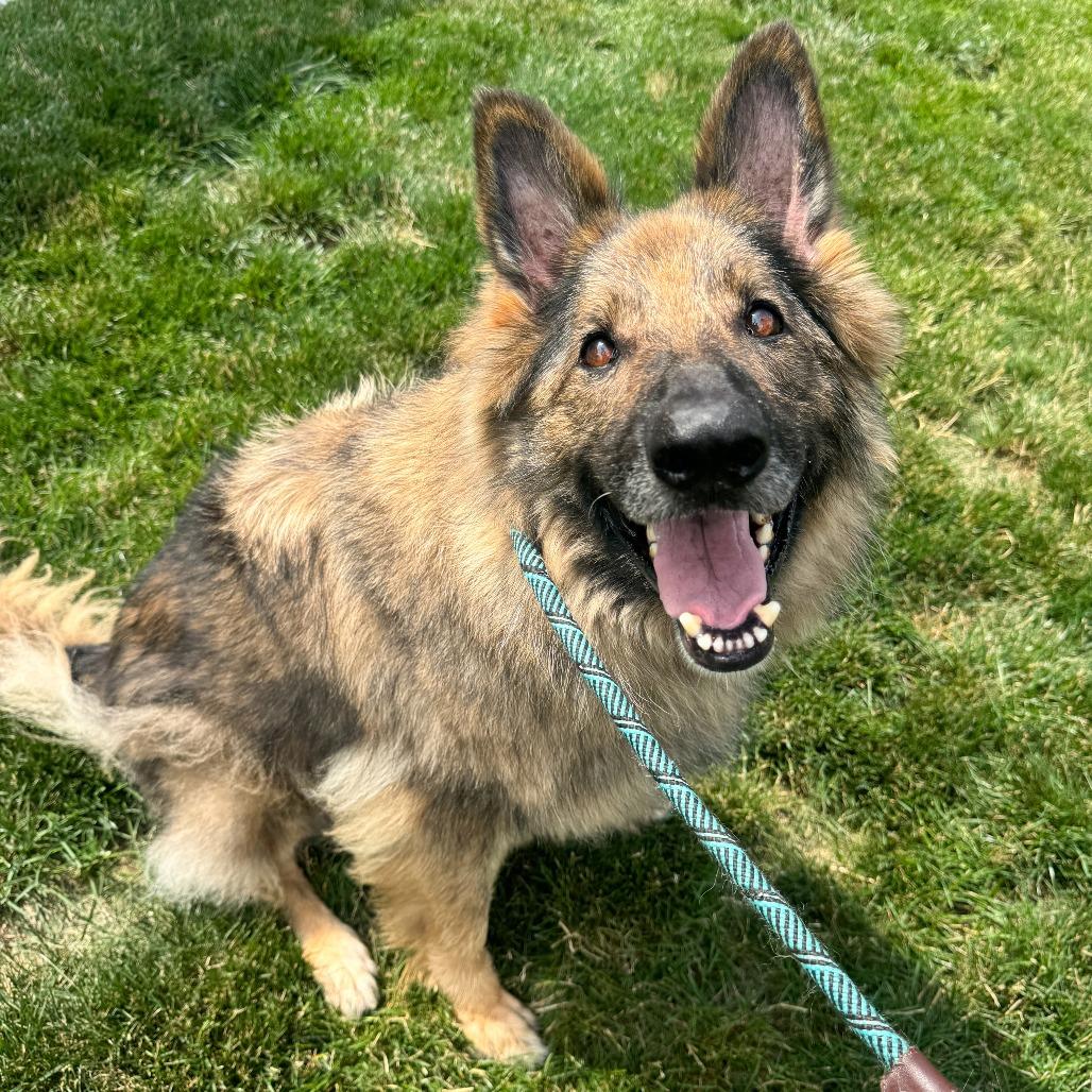 Frieda