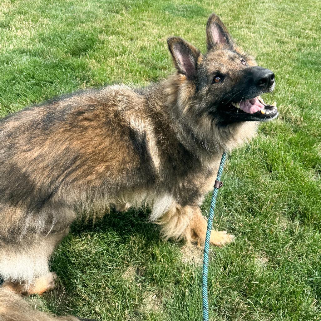 Frieda