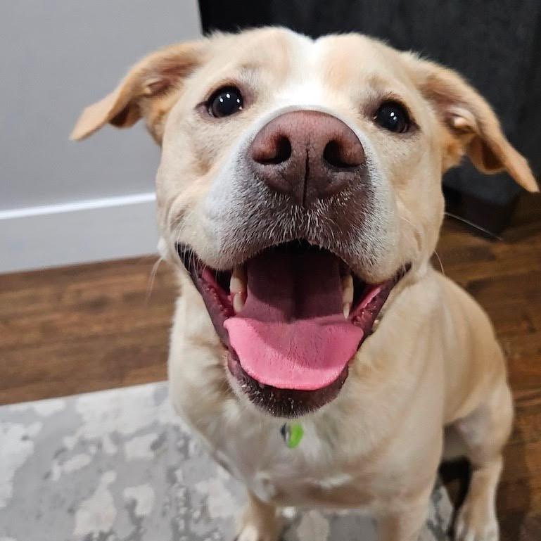 Bubba