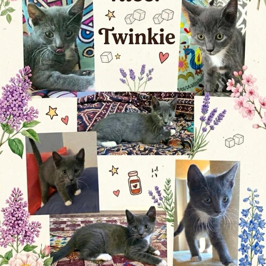 Twinky