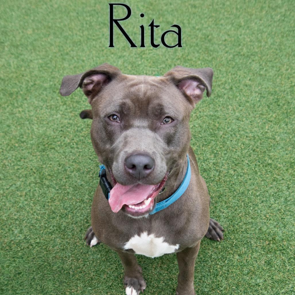 Rita