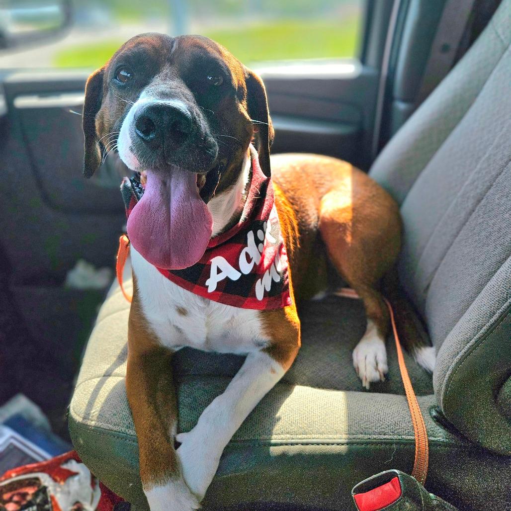 Rosco