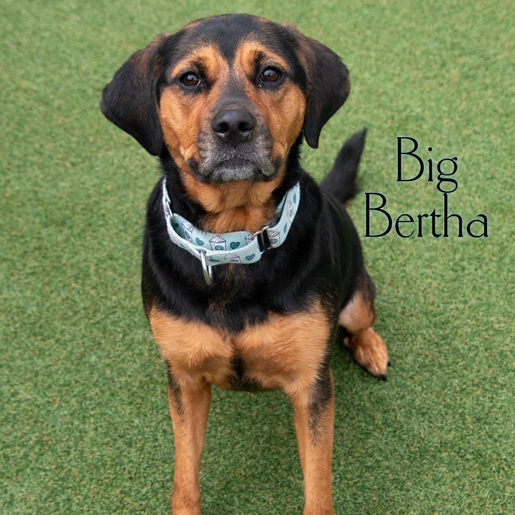 Big Bertha 