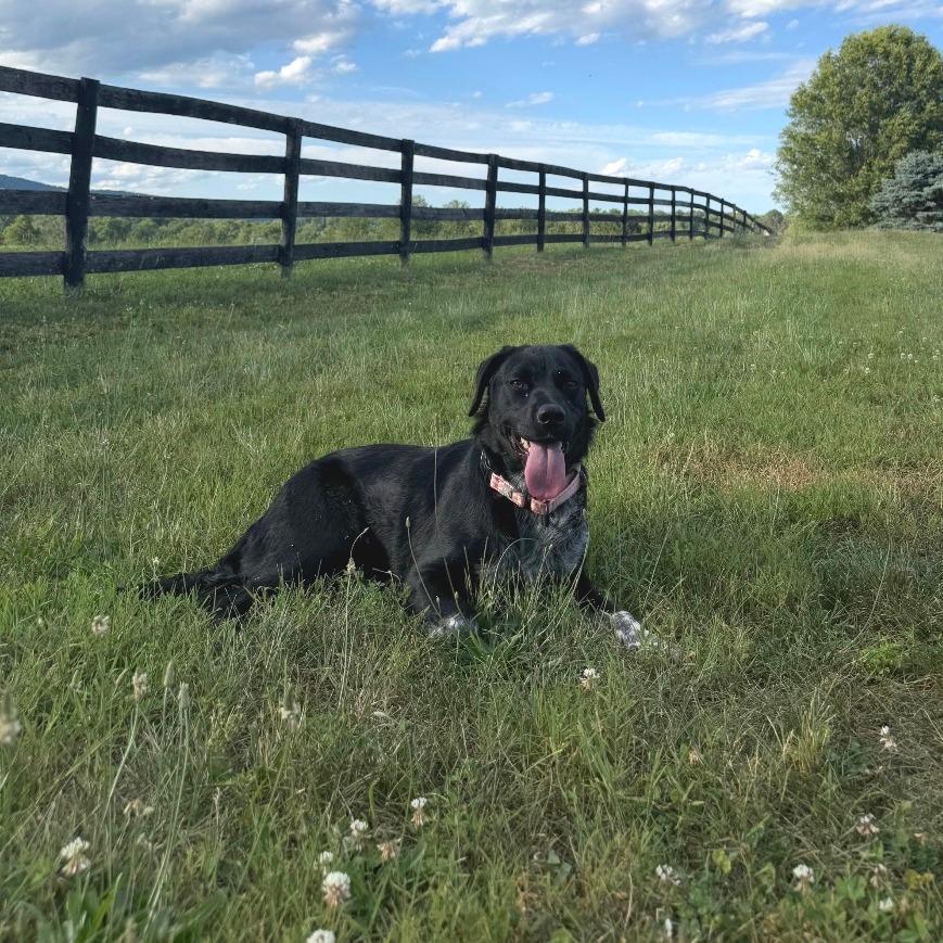 Pearl (In Foster)