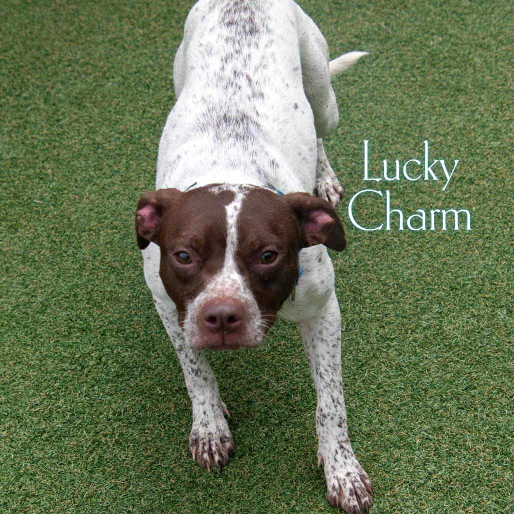 Lucky Charm