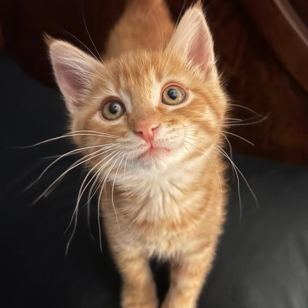 Milo