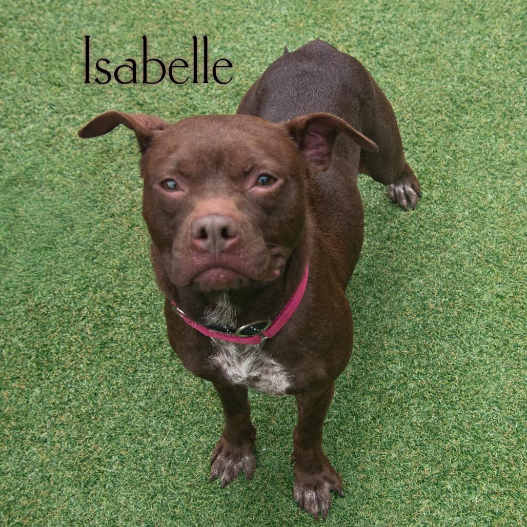 Isabelle 