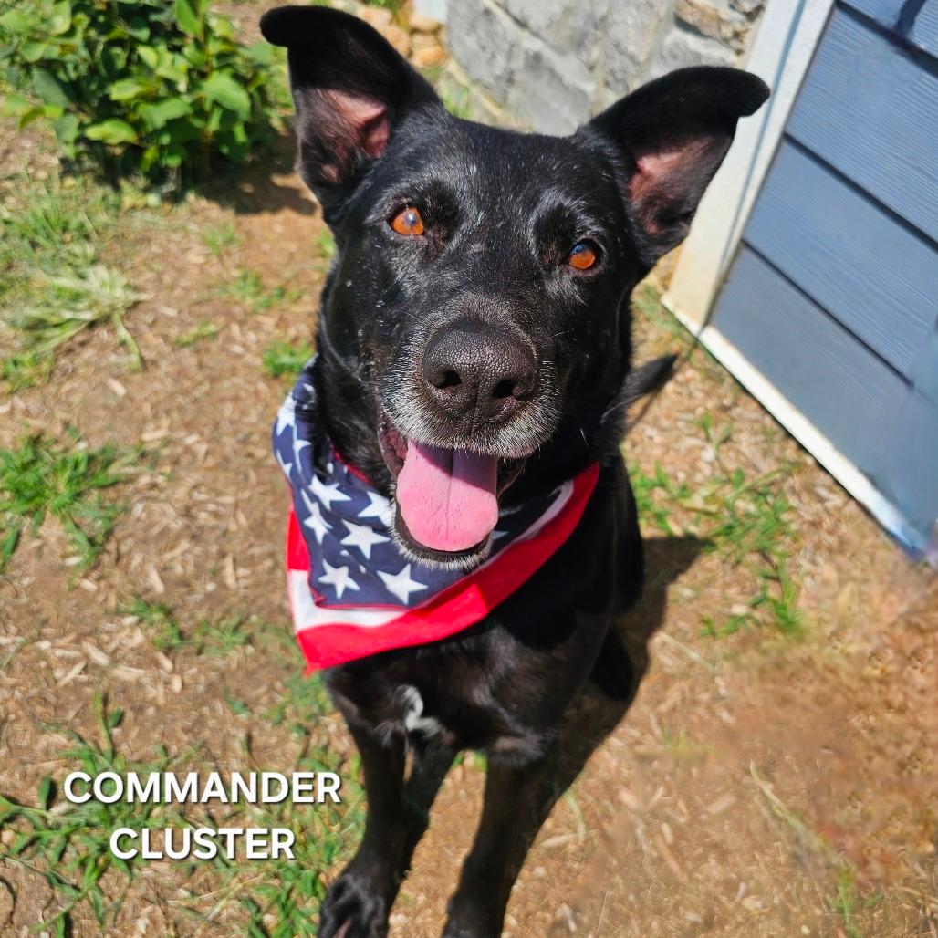 Commander Cluster