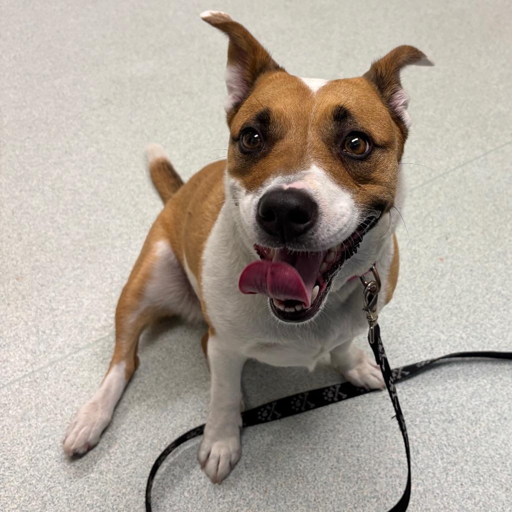 Bonnie- In Foster!