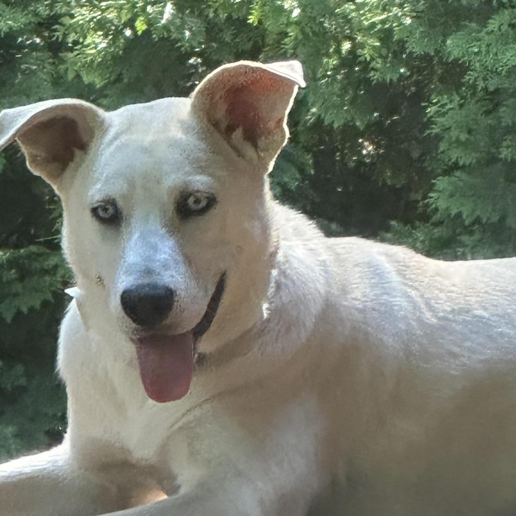 Bonnie