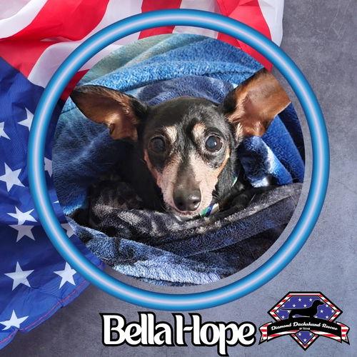 bella hope diamond